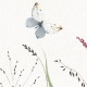 Rimura | Lady Bug
