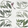 Rimura | Leaves