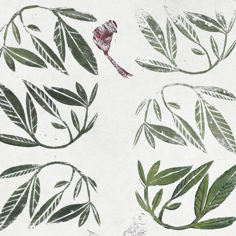 Rimura | Leaves