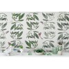 Rimura | Leaves