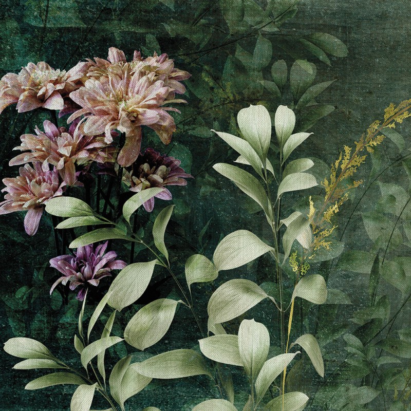 Rimura | Libellula