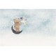 Rimura | Light Sky