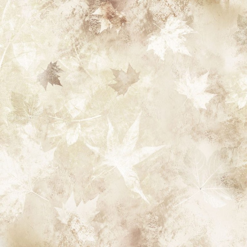 Rimura | Linfa