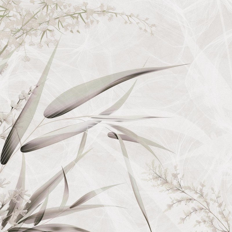 Rimura | Lira