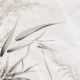 Rimura | Lira