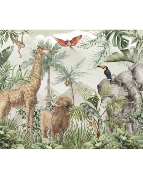 Rimura | Little Safari