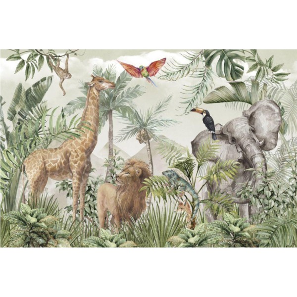 Rimura | Little Safari