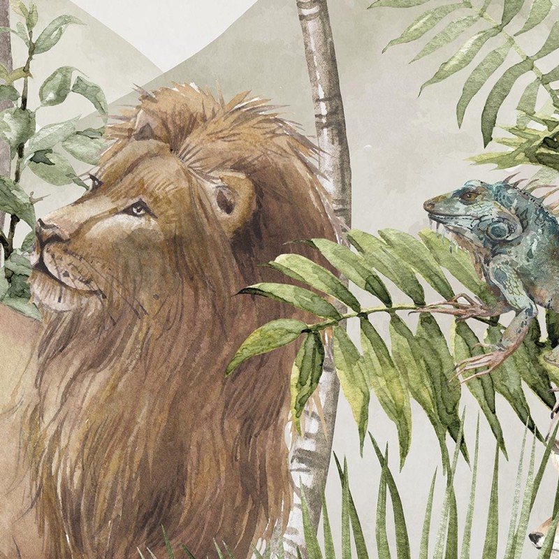Rimura | Little Safari