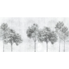 Rimura | Luce 