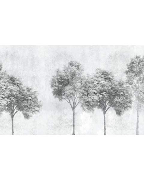 Rimura | Luce 