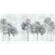 Rimura | Luce 