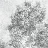 Rimura | Luce 