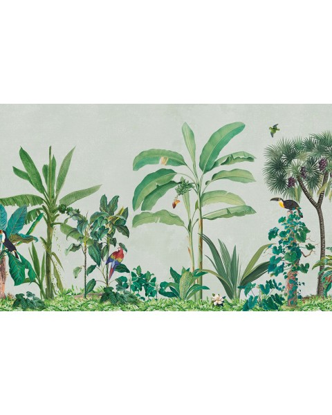 Rimura | Lucuma