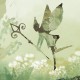 Rimura | Magic Place