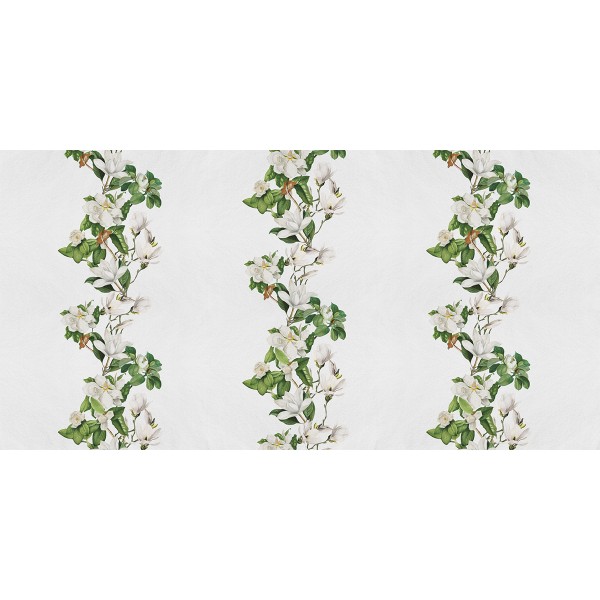 Rimura | Magnolia