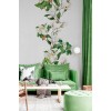 Rimura | Magnolia