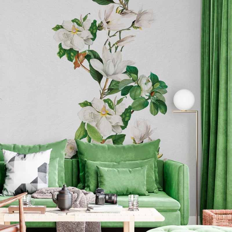 Rimura | Magnolia