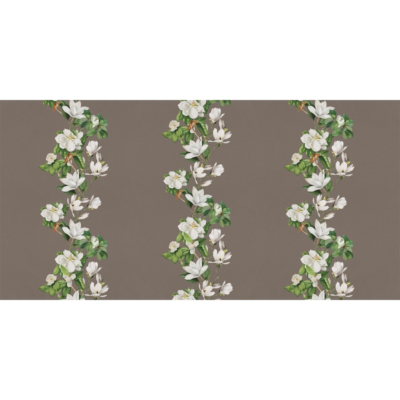 Rimura | Magnolia