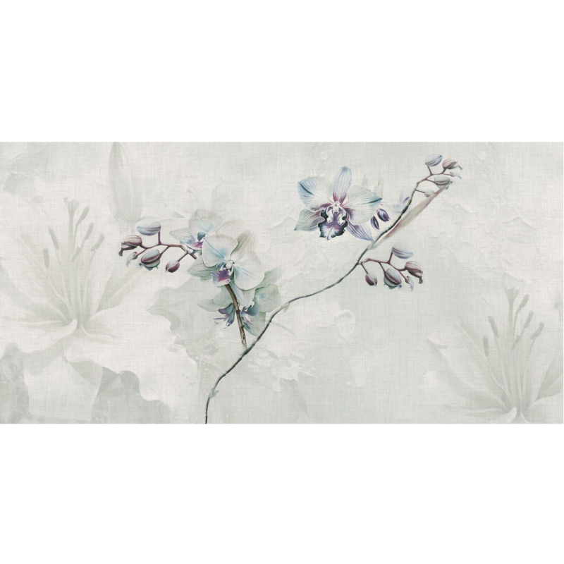 Rimura | Mara