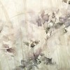 Rimura | Meadow