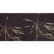 Rimura Gold | Megara