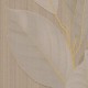 Rimura Gold | True