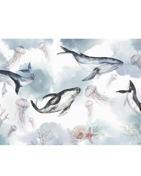Rimura | Moby Dick