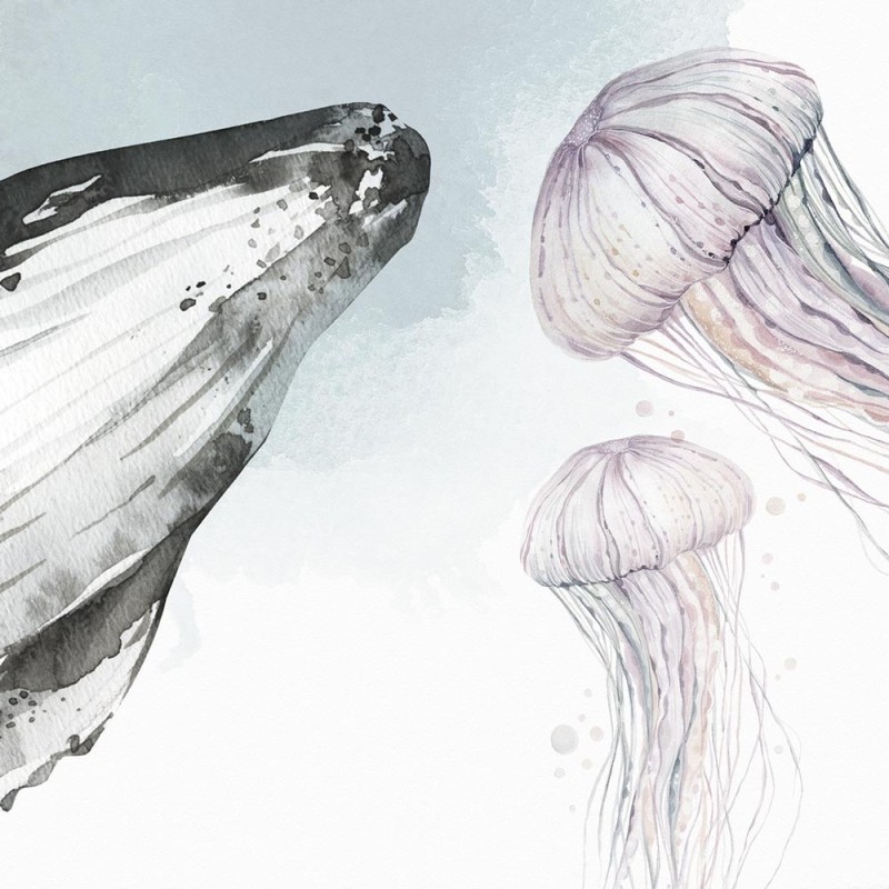 Rimura | Moby Dick