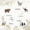 Rimura | Mondo Animale