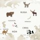 Rimura | Mondo Animale