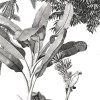 Rimura | Monochrome