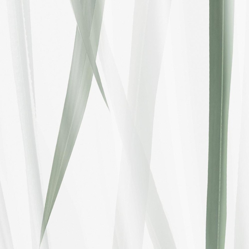 Rimura | Morning Light