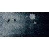 Rimura | Murk