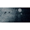 Rimura | Murk