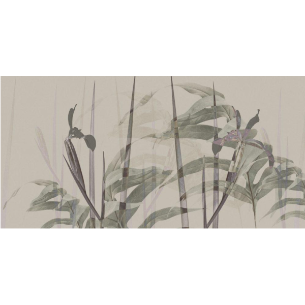 Rimura | Narciso
