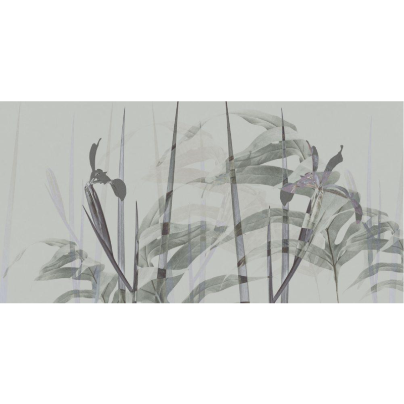 Rimura | Narciso