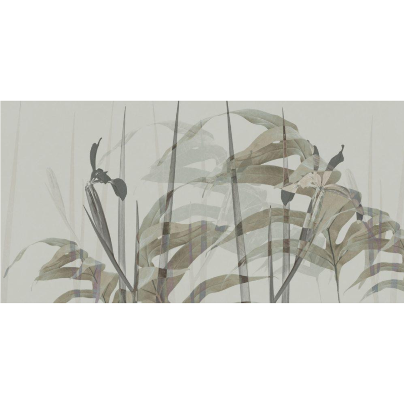 Rimura | Narciso