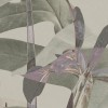 Rimura | Narciso