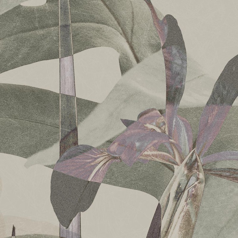 Rimura | Narciso