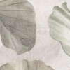 Rimura | Nelumbo