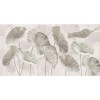 Rimura | Nelumbo