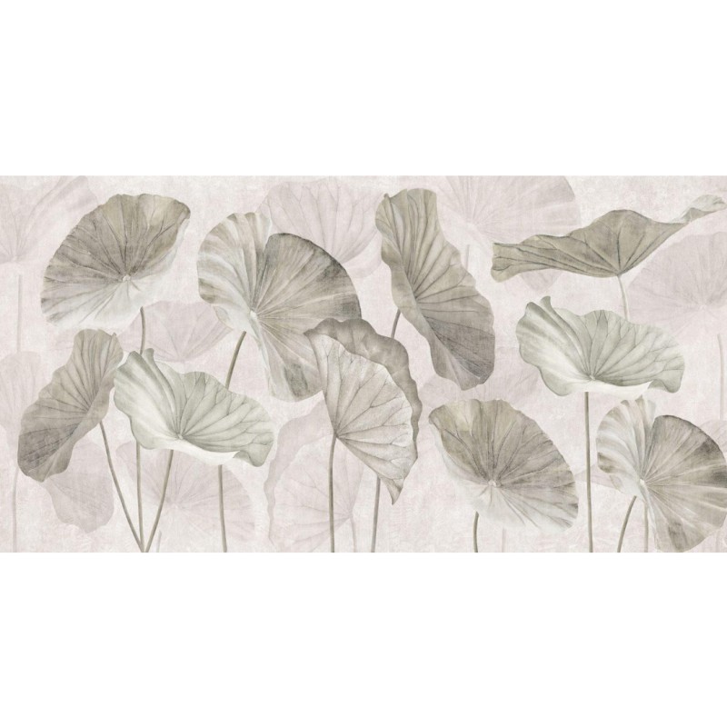 Rimura | Nelumbo