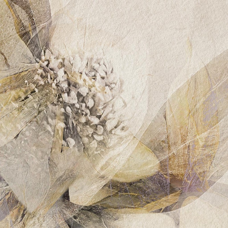 Rimura | Ninfa