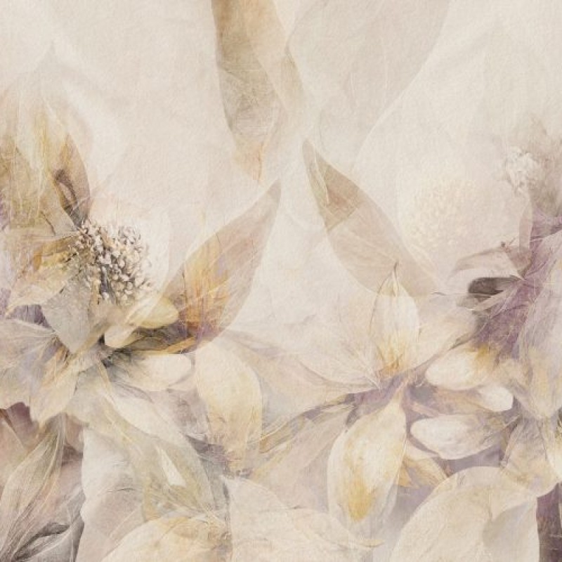 Rimura | Ninfa