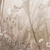 Rimura | Oasi del Pampas