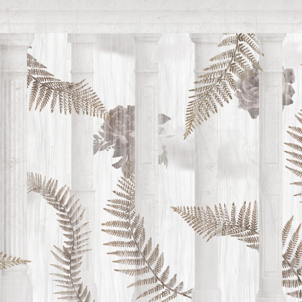 Rimura |  Olympia