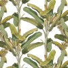 Rimura | Palmizio