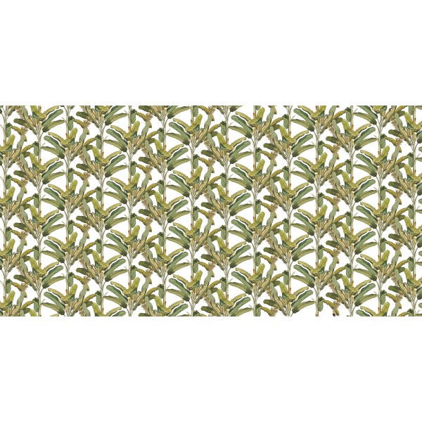 Rimura | Palmizio