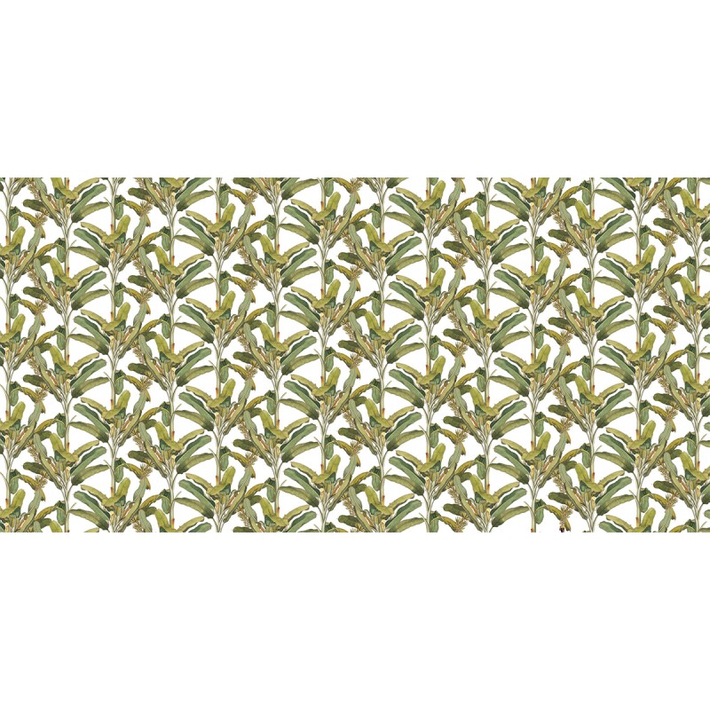 Rimura | Palmizio