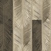 Rimura | Palms